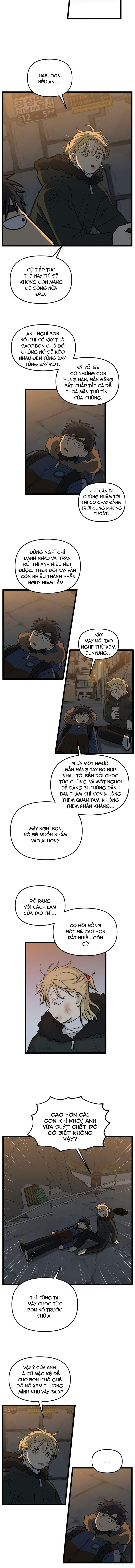 I Have No Home Chapter 214 - 4