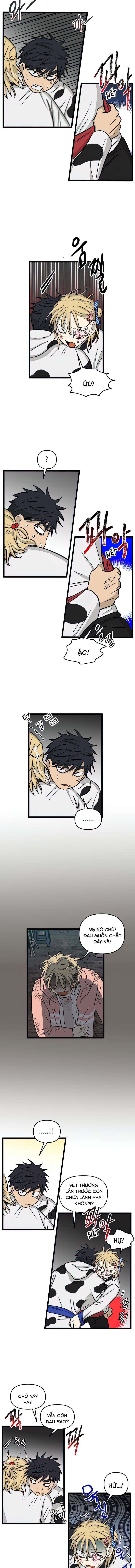 I Have No Home Chapter 164 - 4