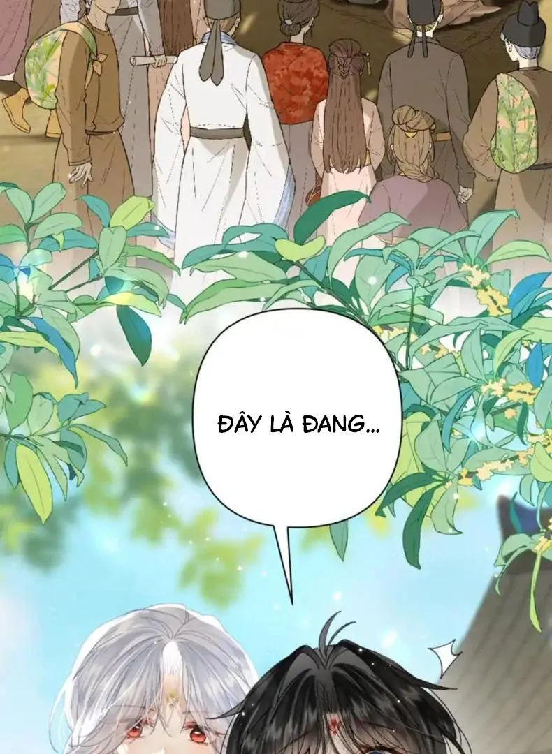 Đông Hải Tìm Mỹ Nhân Chapter 56 - 61