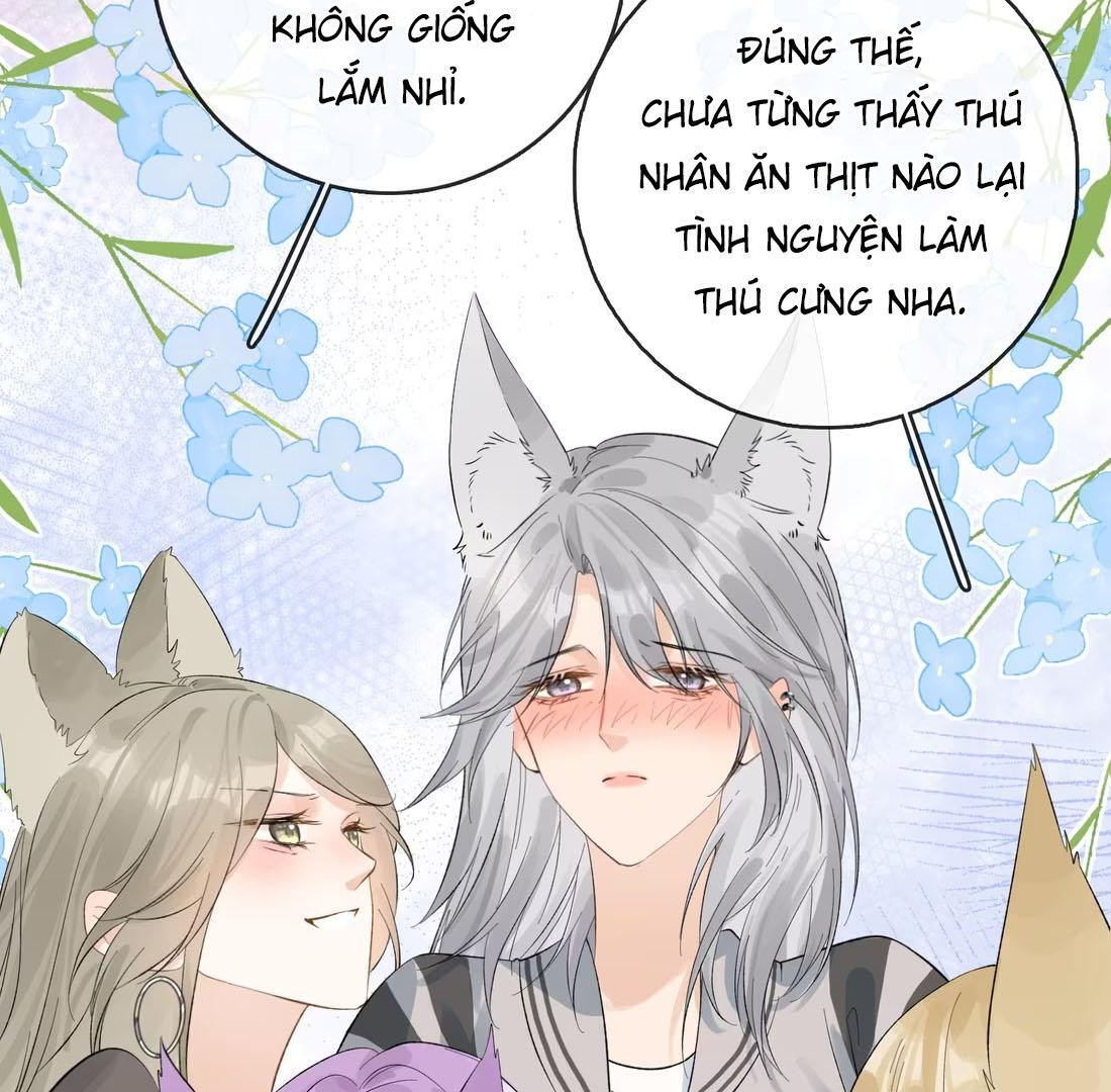 Sói Tiểu Thư Và Em Gái Hồ Ly Của Tôi Chapter 41 - 7