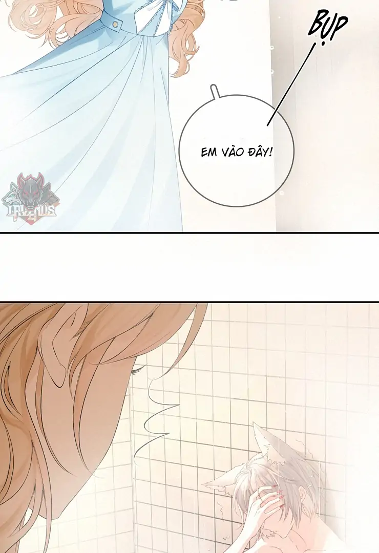 Sói Tiểu Thư Và Em Gái Hồ Ly Của Tôi Chapter 11 - 42