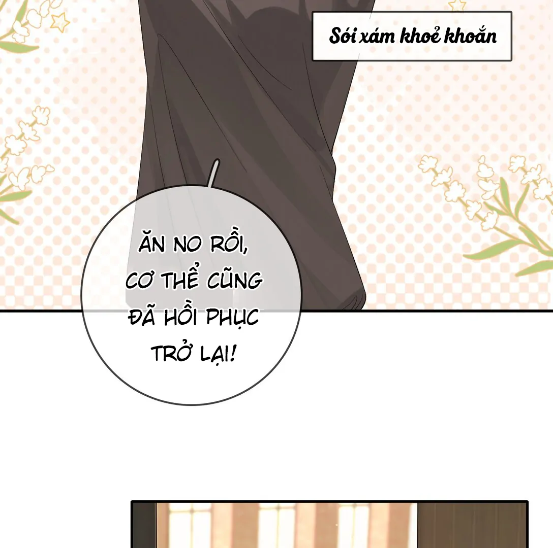 Sói Tiểu Thư Và Em Gái Hồ Ly Của Tôi Chapter 18 - 55