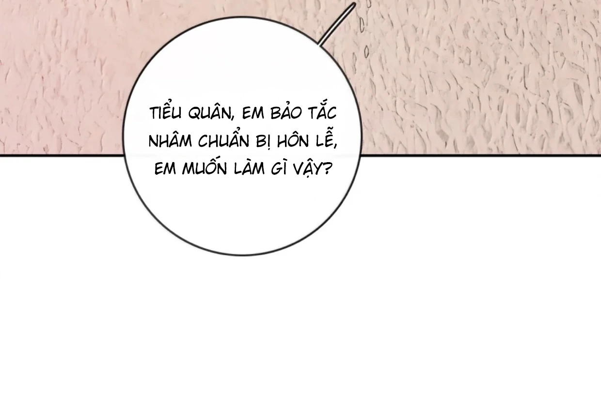 Sói Tiểu Thư Và Em Gái Hồ Ly Của Tôi Chapter 62 - 34