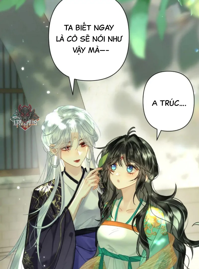 Đông Hải Tìm Mỹ Nhân Chapter 57 - 62