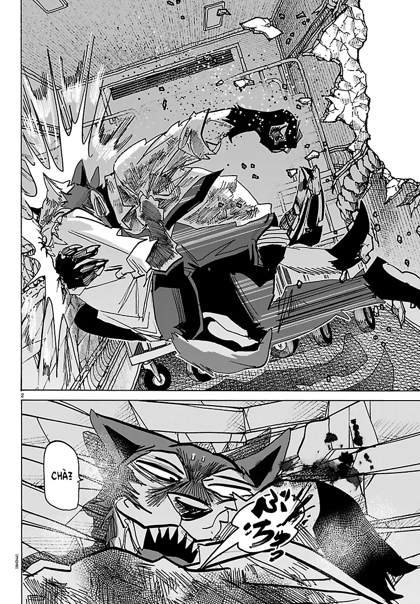 Lý Trí Của Taika - Trang 1