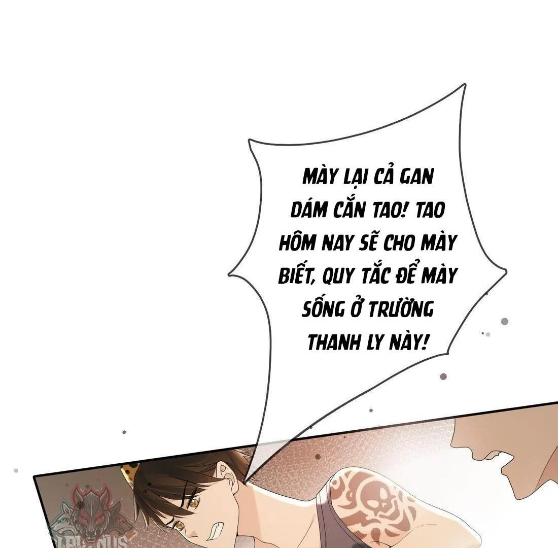 Sói Tiểu Thư Và Em Gái Hồ Ly Của Tôi Chapter 4 - 22