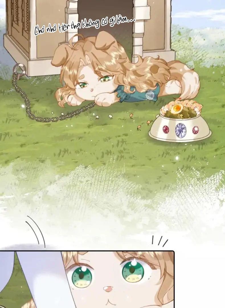 Phản Diện Gặp Kẻ Cuồng Yêu Chapter 60 - 43