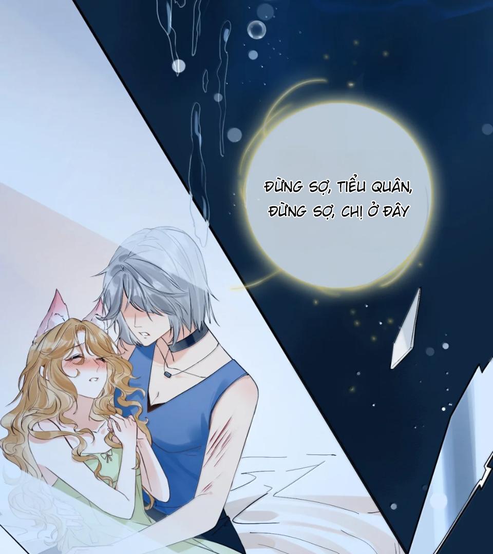 Sói Tiểu Thư Và Em Gái Hồ Ly Của Tôi Chapter 59 - 19