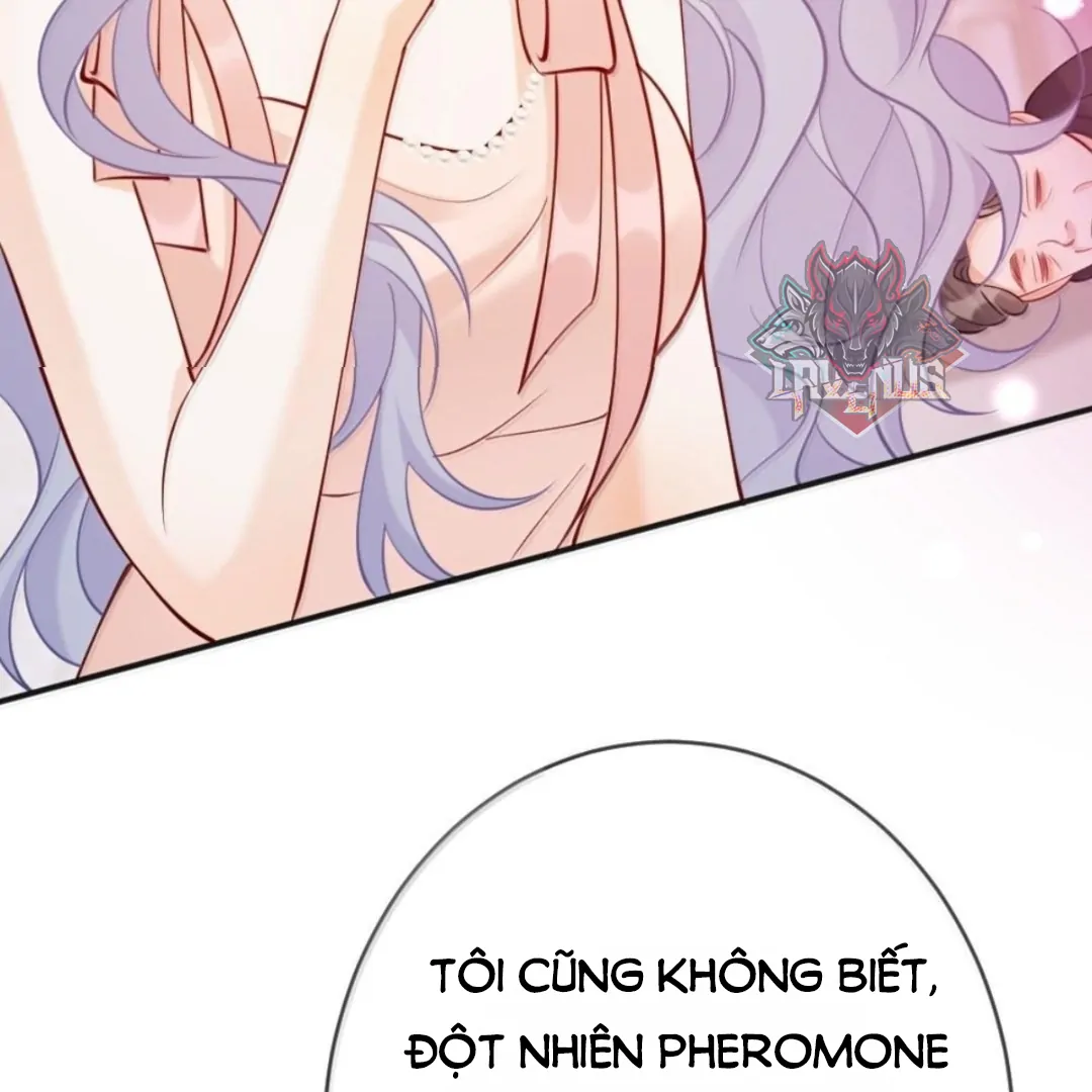 Bạch Nguyệt Quang Cô Ấy Luôn Muốn Đánh Dấu Tôi Chapter 42 - 24