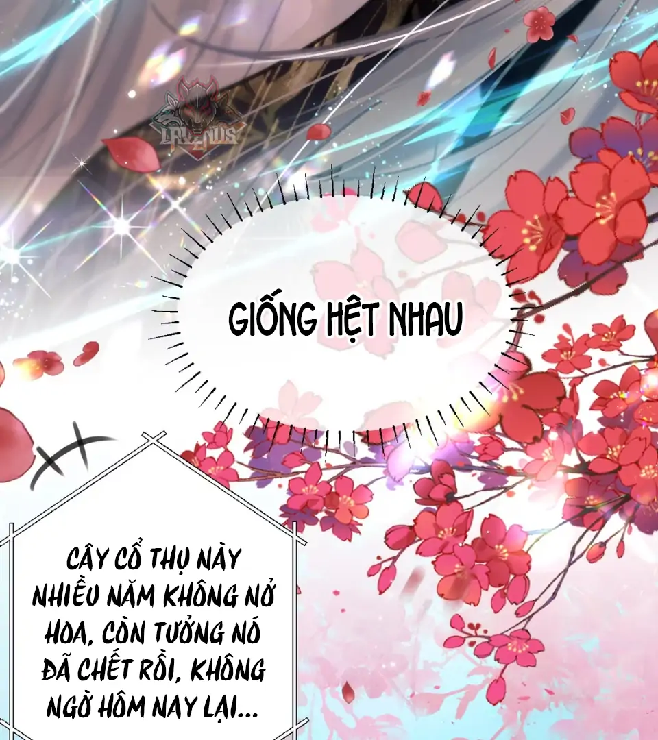 Đông Hải Tìm Mỹ Nhân Chapter 58 - 43