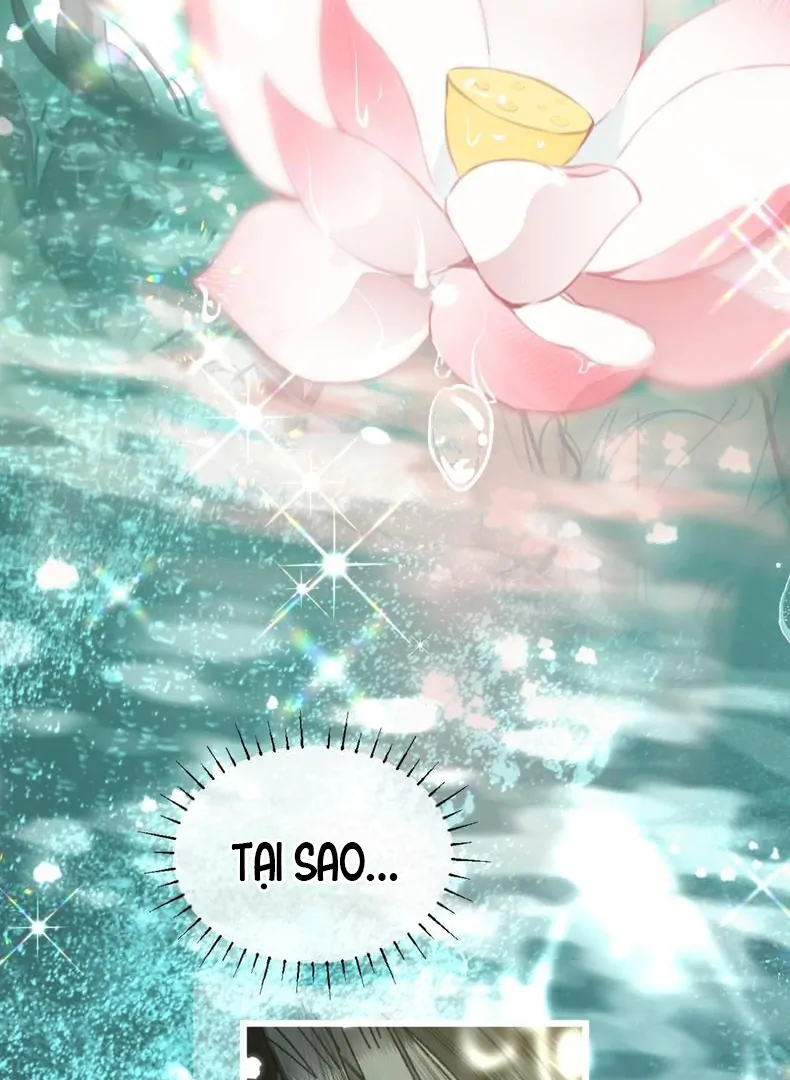 Đông Hải Tìm Mỹ Nhân Chapter 59 - 45