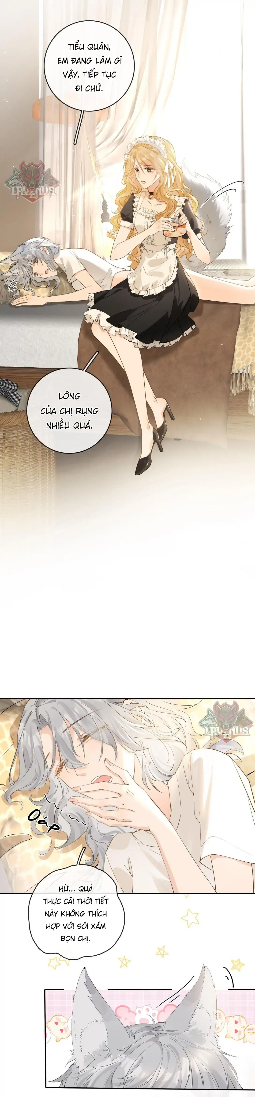 Sói Tiểu Thư Và Em Gái Hồ Ly Của Tôi Chapter 31 - 3