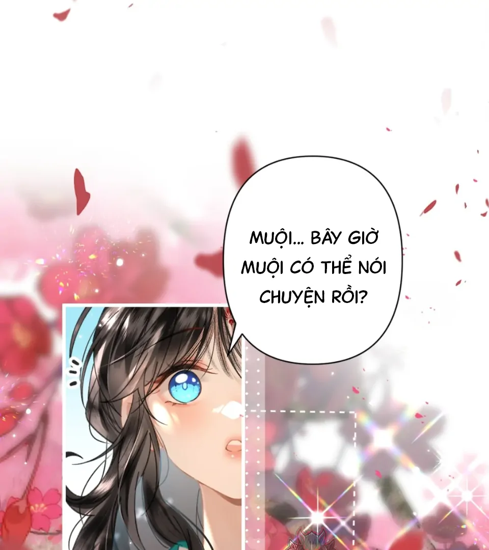 Đông Hải Tìm Mỹ Nhân Chapter 58 - 51