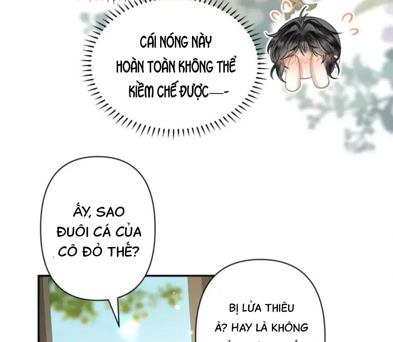 Đông Hải Tìm Mỹ Nhân Chapter 56 - 25