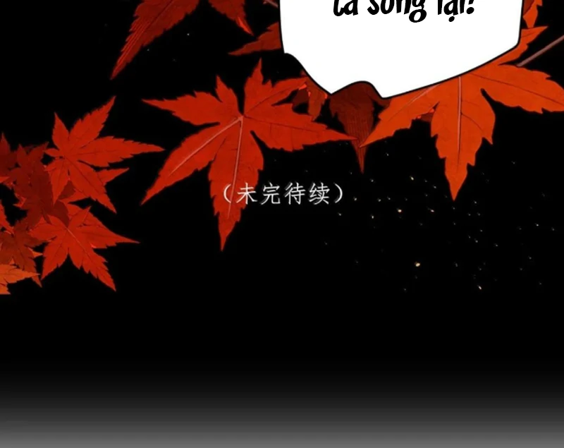 Nuông Chiều Mỹ Nhân Cuồng Nhiệt Chapter 71 - 74