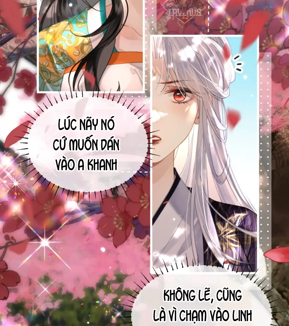 Đông Hải Tìm Mỹ Nhân Chapter 58 - 52