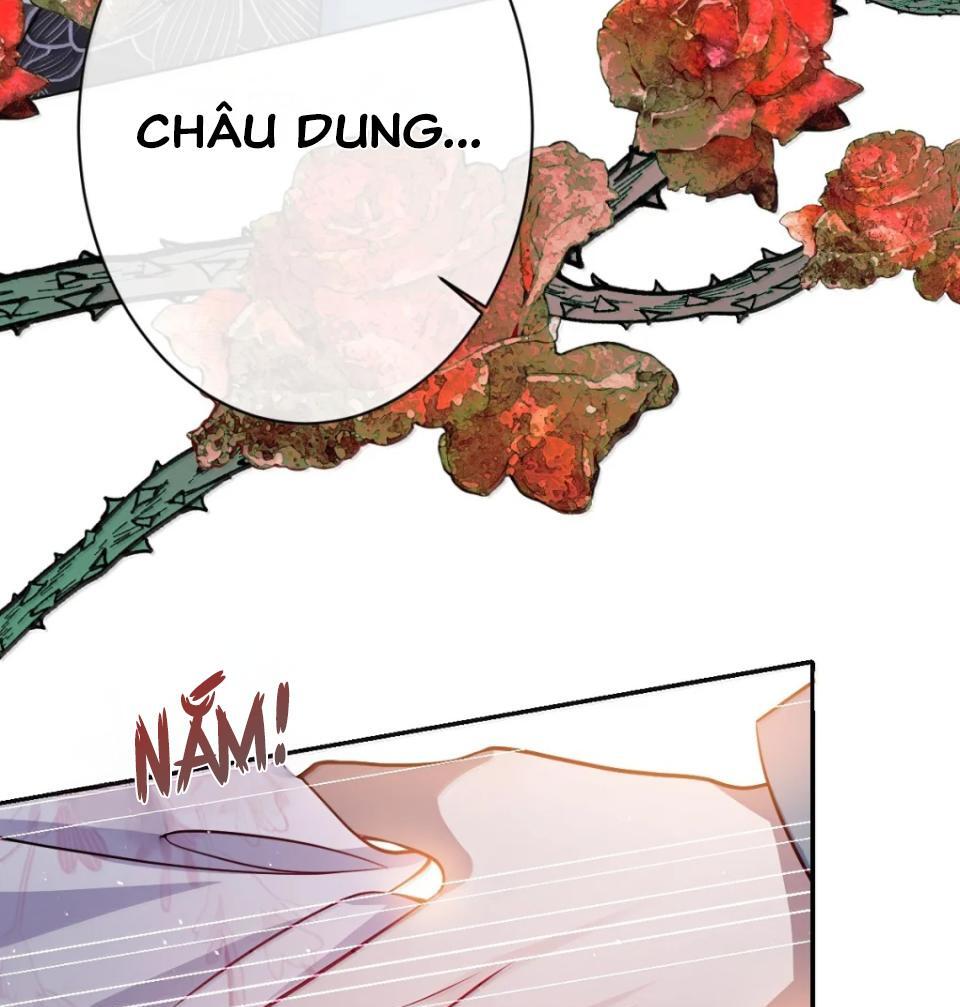 Nuông Chiều Mỹ Nhân Cuồng Nhiệt Chapter 63 - 12