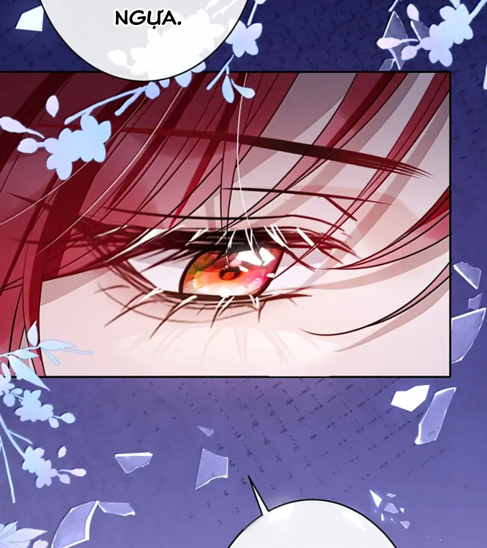 Nuông Chiều Mỹ Nhân Cuồng Nhiệt Chapter 68 - 25