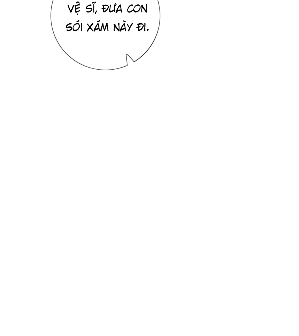 Sói Tiểu Thư Và Em Gái Hồ Ly Của Tôi Chapter 63 - 67