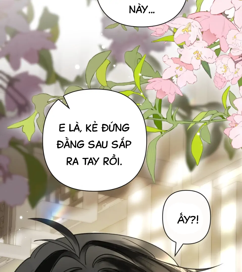 Đông Hải Tìm Mỹ Nhân Chapter 58 - 79