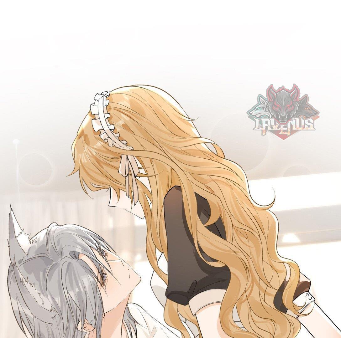 Sói Tiểu Thư Và Em Gái Hồ Ly Của Tôi Chapter 31 - 11