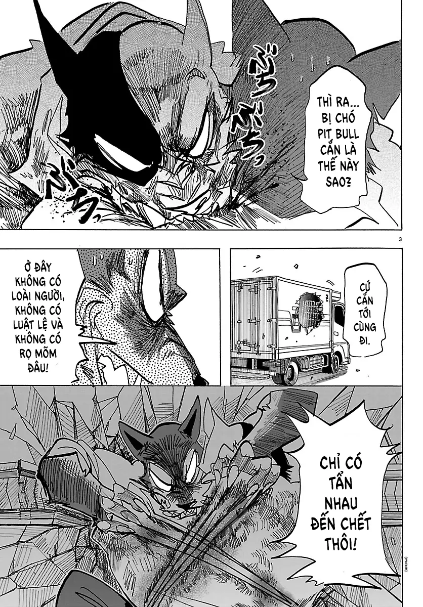 Lý Trí Của Taika - Trang 2