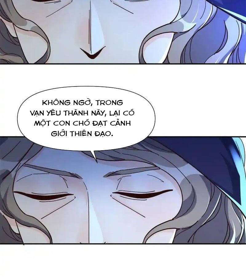 Nguyên Lai Ta Là Tu Tiên Đại Lão Chapter 458 - 51