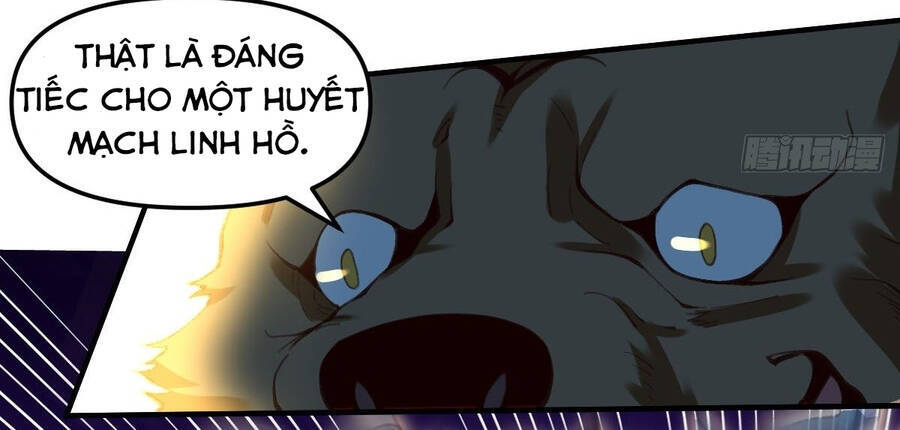 Nguyên Lai Ta Là Tu Tiên Đại Lão Chapter 55 - 12