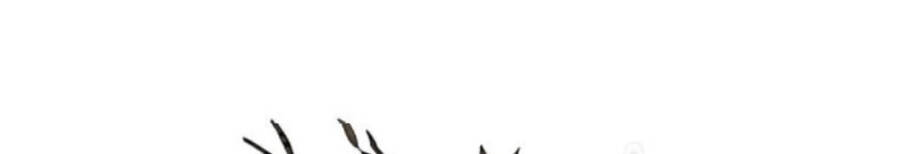 Phi Lôi Đao Thuật Chapter 59 - 16
