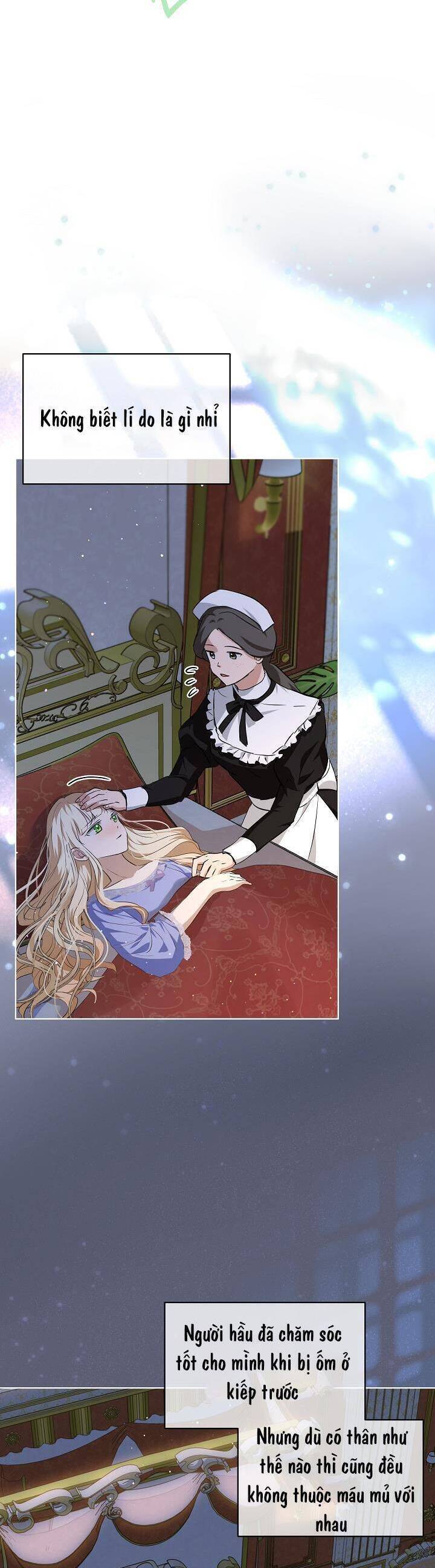 Tôi Đã Tái Sinh Thành Bé Cáo Của Thần Chapter 28 - 24