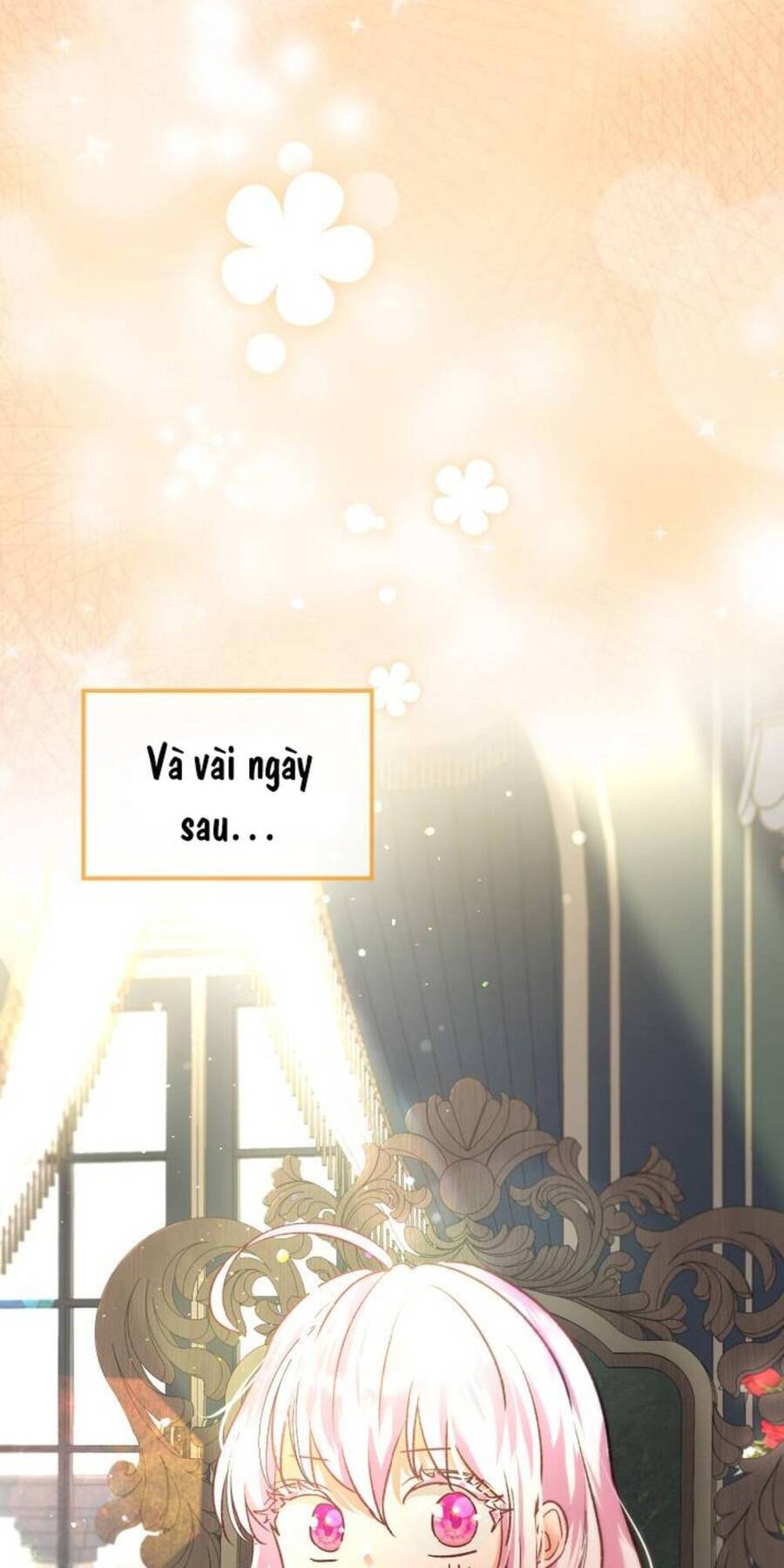 Tôi Đã Tái Sinh Thành Bé Cáo Của Thần Chapter 45 - 74