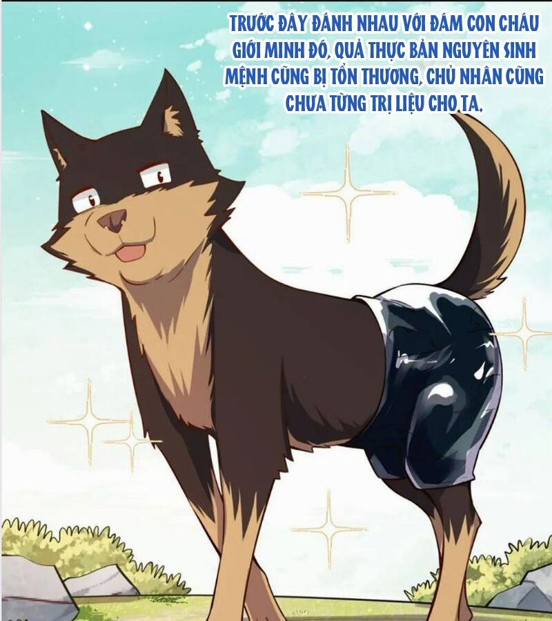 Nguyên Lai Ta Là Tu Tiên Đại Lão Chapter 474 - 44