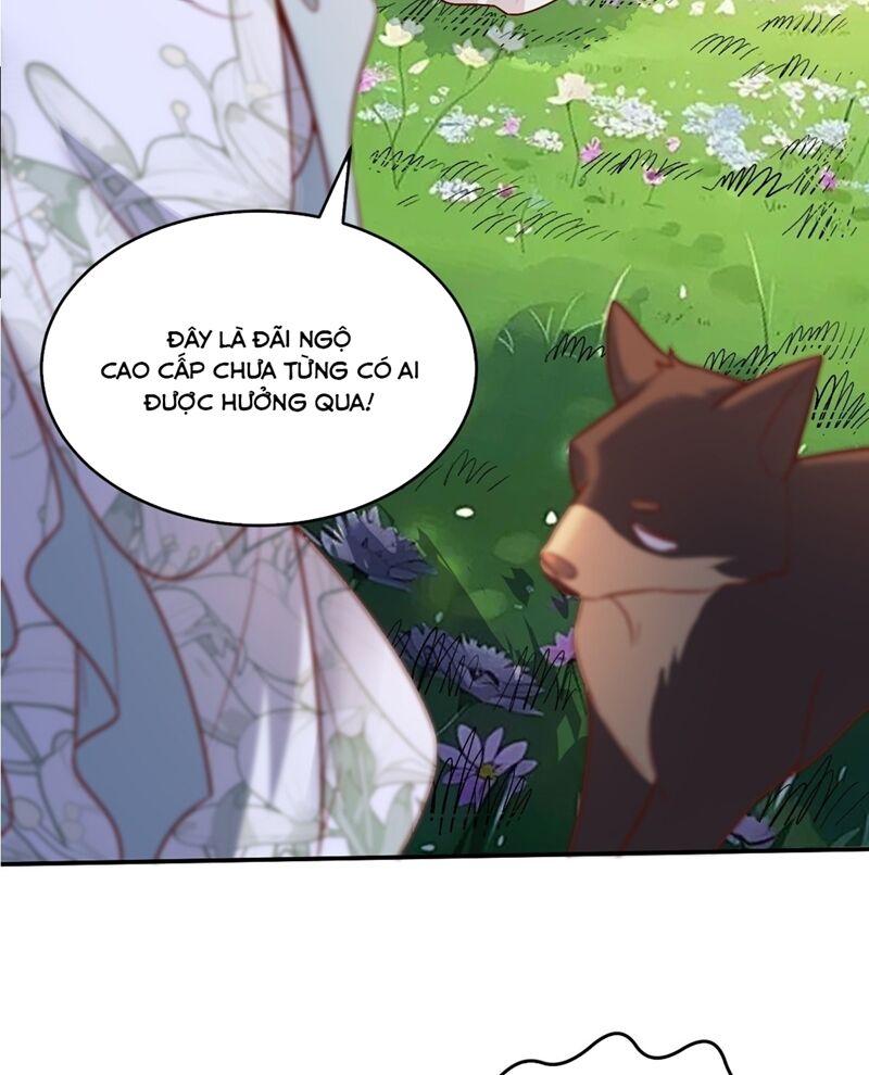 Nguyên Lai Ta Là Tu Tiên Đại Lão Chapter 488 - 9