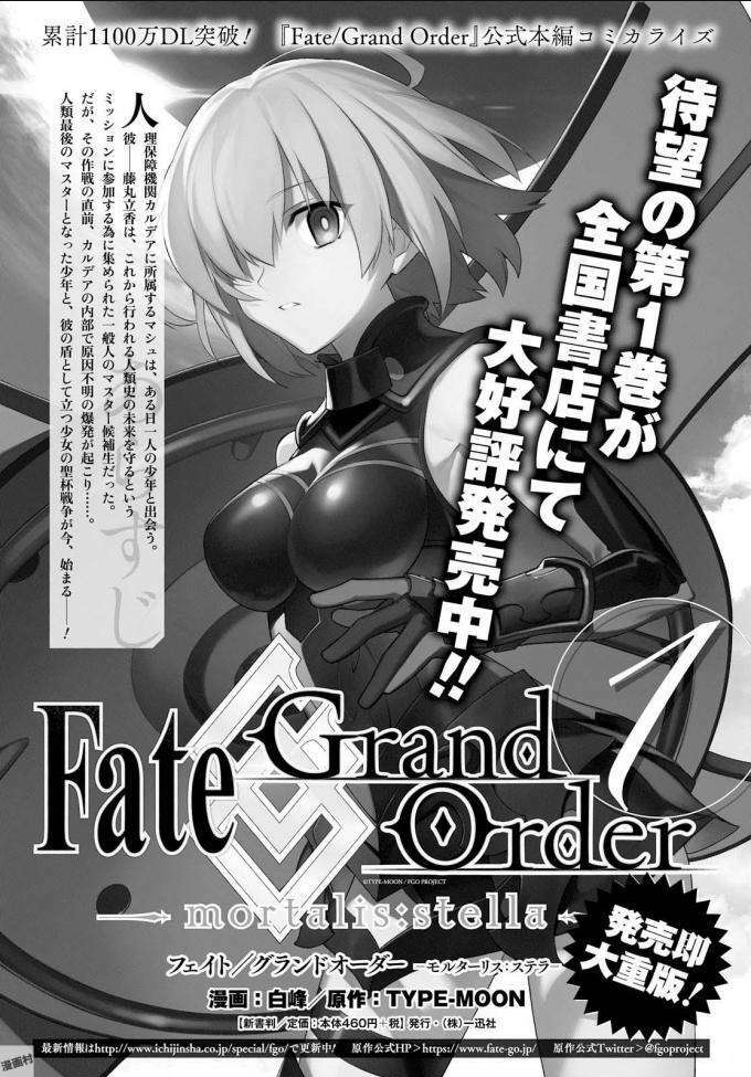 Fate/Grand Order -mortalis:stella- Chapter 5.5 - 29