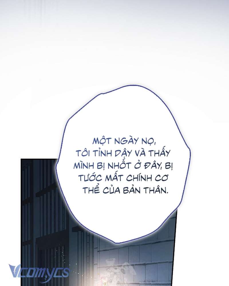 Các Nam Chính Đã Bị Nữ Phụ Cướp Mất Chapter 69 - 133