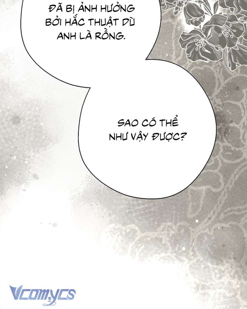 Các Nam Chính Đã Bị Nữ Phụ Cướp Mất Chapter 64 - 96