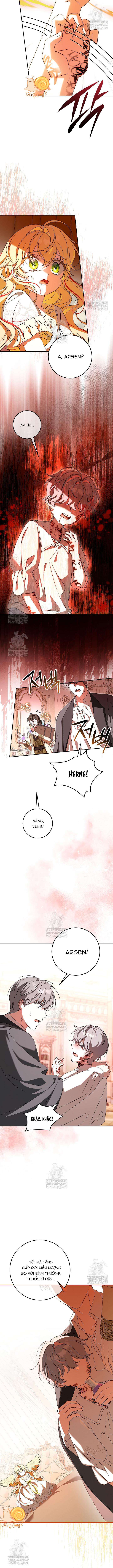 Nàng Chim Được Dinh Thự Sói Yêu Thương Chapter 64 - 2