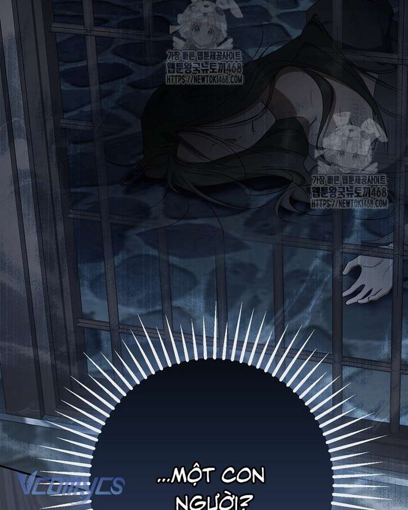 Các Nam Chính Đã Bị Nữ Phụ Cướp Mất Chapter 69 - 49