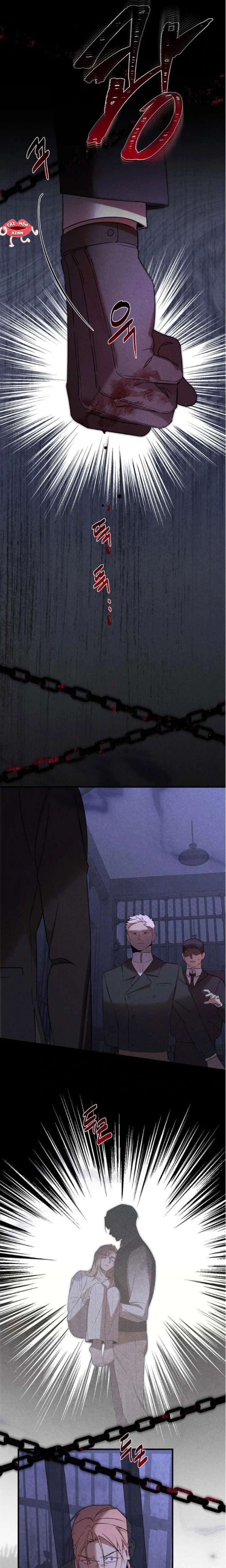 Nơi Đóa Hồng Vàng Úa Tàn Chapter 23 - 21