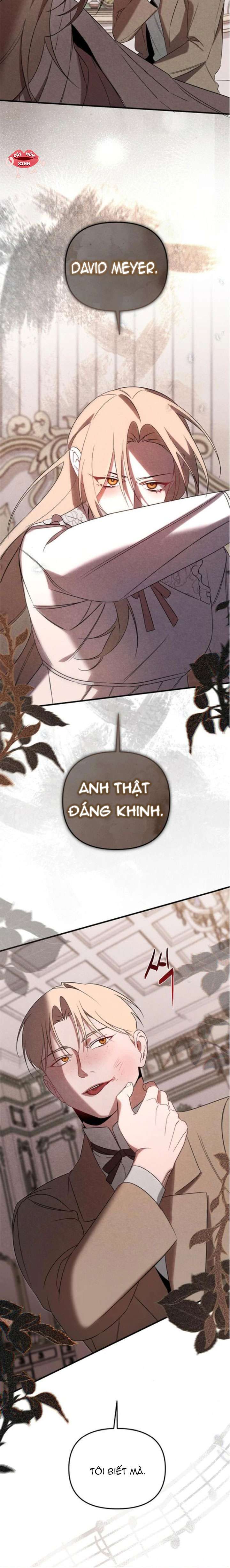 Nơi Đóa Hồng Vàng Úa Tàn Chapter 23 - 12