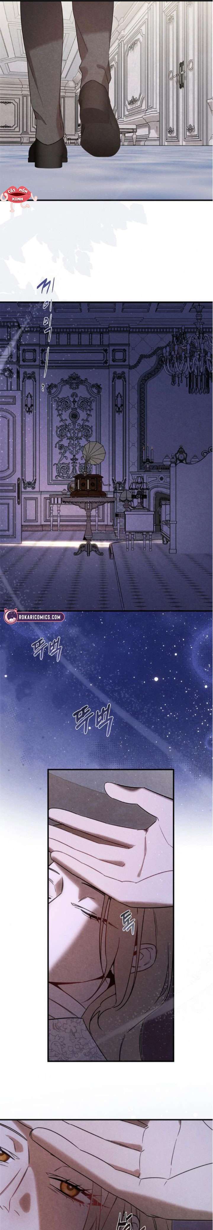 Nơi Đóa Hồng Vàng Úa Tàn Chapter 23 - 15