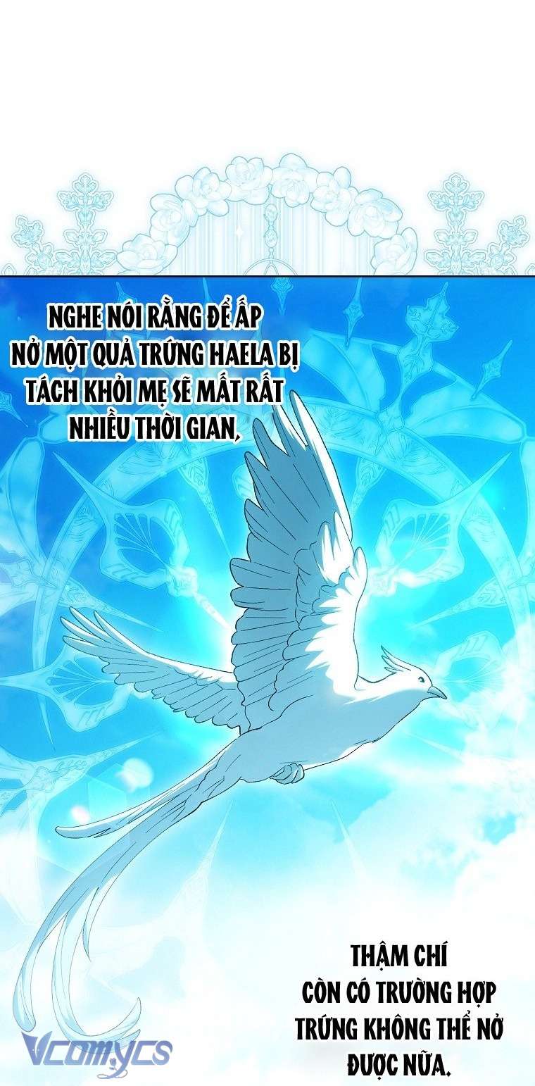 Công Chúa Bạch Hổ Không Có Nguy Hiểm Nha! Chapter  27 - 49