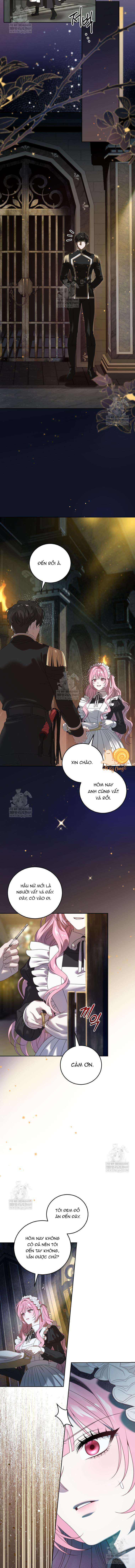 Kẻ Ám Ảnh Cuồng Tín Đang Cố Giam Cầm Tôi Chapter  5 - 13