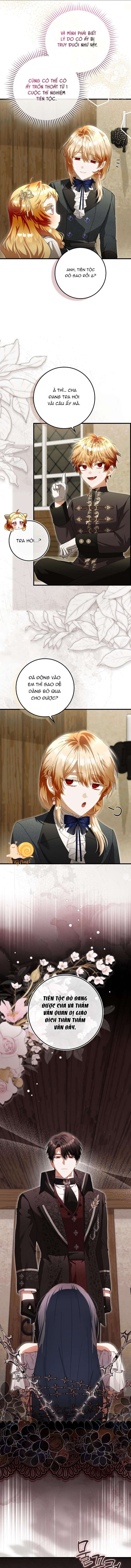 Nàng Tiên Bé Con Là Nhân Vật Phản Diện Chapter  51 - 6