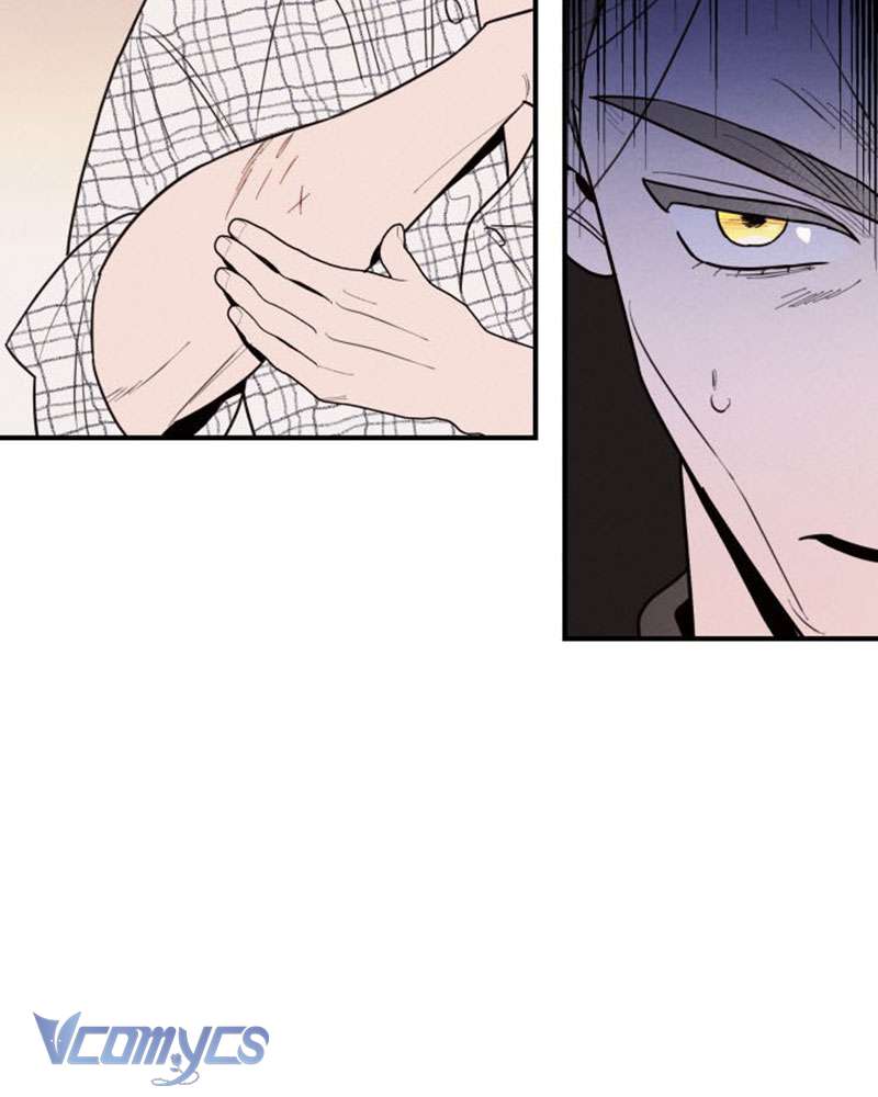 Tối Nay Tôi Là Người Được Cô Ấy Chọn Chapter 1 - 222