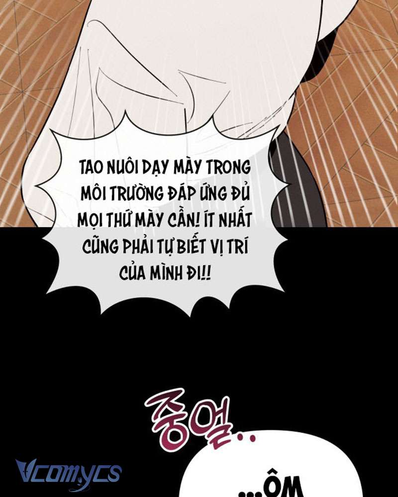 Tối Nay Tôi Là Người Được Cô Ấy Chọn Chapter 2 - 92
