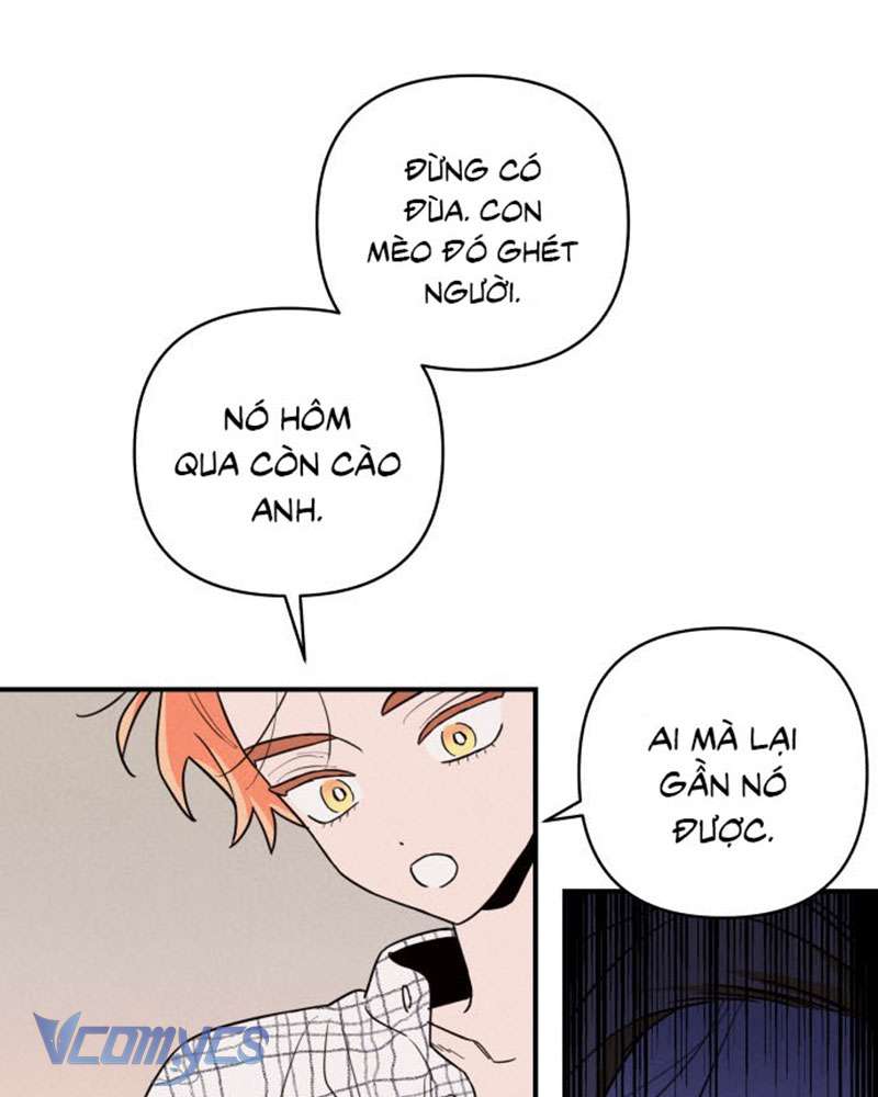 Tối Nay Tôi Là Người Được Cô Ấy Chọn Chapter 1 - 221